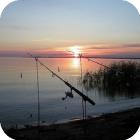 Бесплатная рыбалка в Ленинградской области